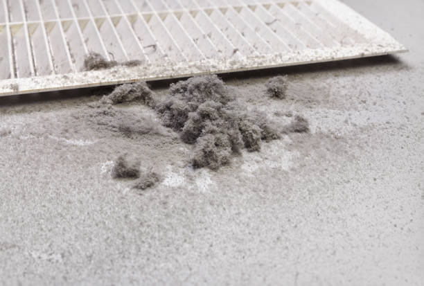 Best Ventilation Cleaning Services  in Peralta, NM