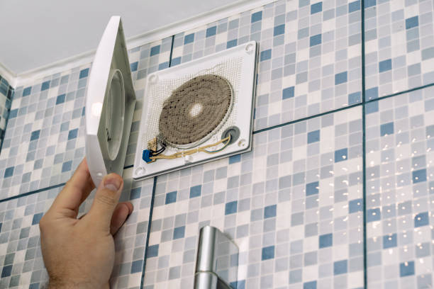 Best Air Duct Mold Removal  in Peralta, NM